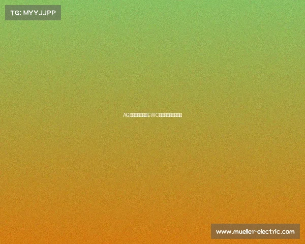 AG电竞燃爆盛夏，EWC世界杯开幕盛典来袭