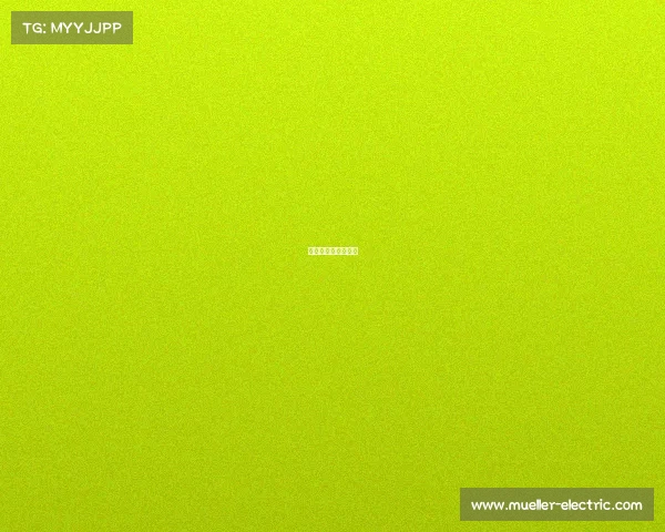 枪火对决：巅峰战纪